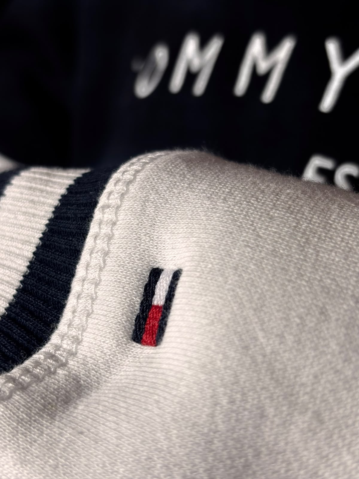 Hoodie Tommy Hilfiger